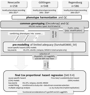 A genome-wide association study on hematopoietic stem cell transplantation reveals novel genomic loci associated with transplant outcomes